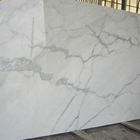 Évaluez un marbre blanc de Bianco Carrare de tuile en pierre de marbre italienne coupé pour classer