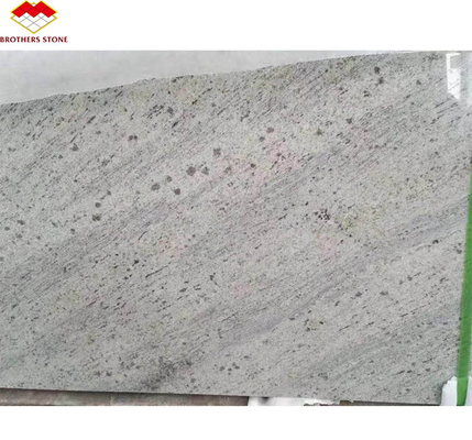 Plaque de granit de texture blanche taillée sur mesure exportée d'Inde pour la conception de villas et d'hôtels