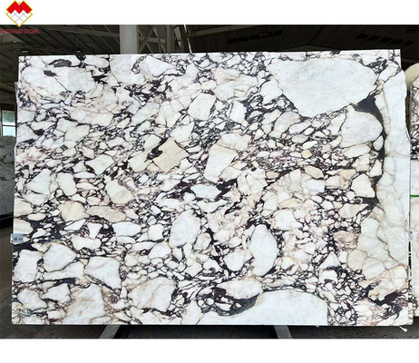 Calacatta Viola Marbre des dalles de pierre italienne intemporelle pour les projets de cuisine et de salle de bain