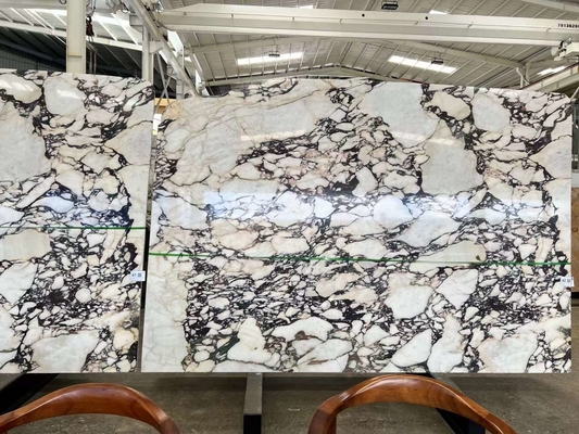 Calacatta Viola Marbre des dalles de pierre italienne intemporelle pour les projets de cuisine et de salle de bain