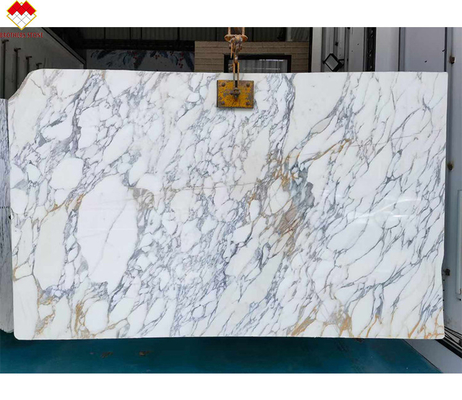 Murs et revêtements de sol de design moderne Tableau en marbre blanc neigeux avec veines brunes