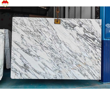 Murs et revêtements de sol de design moderne Tableau en marbre blanc neigeux avec veines brunes