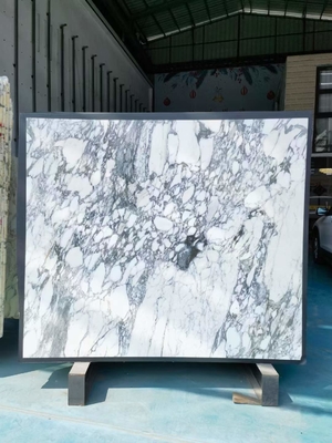 Murs et revêtements de sol de design moderne Tableau en marbre blanc neigeux avec veines brunes