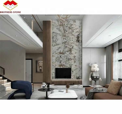 Pierre naturelle Pandore Marbre grande dalle découpé à la taille pour le mur de l'hôtel moderne Villa