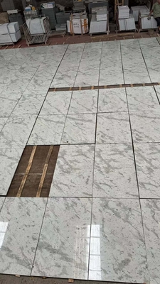 Andromède brésilienne Plaques de granit blanc pour les comptoirs Murs Escaliers Choix populaire