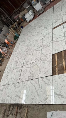 Andromède brésilienne Plaques de granit blanc pour les comptoirs Murs Escaliers Choix populaire