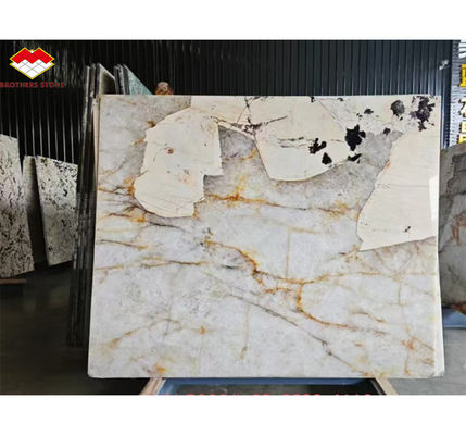 Panneau mural brésilien de marbre Pandora poli pour le style moderne