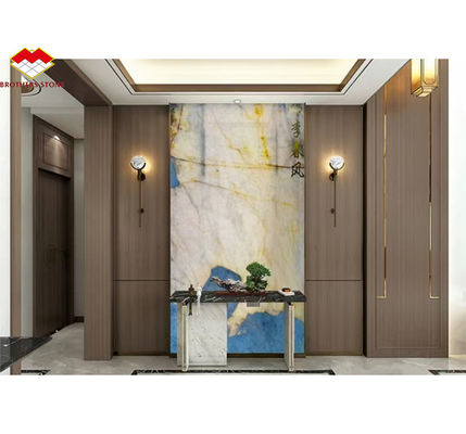 Panneau mural brésilien de marbre Pandora poli pour le style moderne