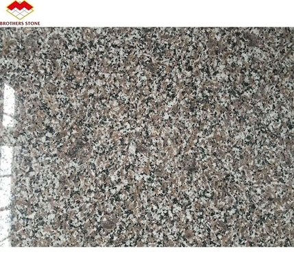 Granit chinois poli rose moderne Porrno G664 Marbre pour pierre de cheval