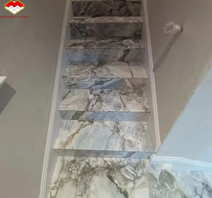 Brésil Calacatta Marbre gris poisson ventre Marbre gris pour l'hôtel Escalier antidérapant
