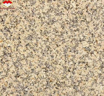 Granit flambé chinois moderne pour le revêtement de mur extérieur intérieur