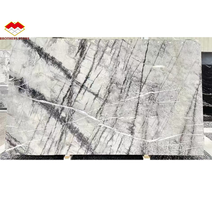 Conception graphique Pierre naturelle argentée de sapin italien Carreaux de sol en marbre pour le salon