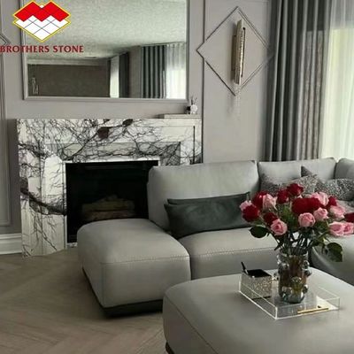 Cheminée de prune de neige parfumée à l' intérieur entourée de pierre de style français en arc pour les maisons de York