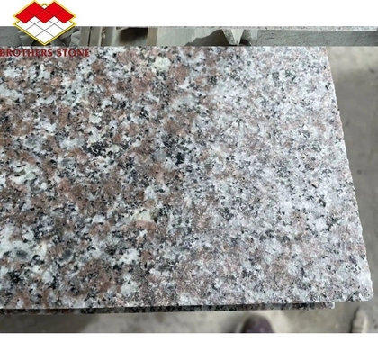 Moderne Polissé Naturel Rose Porino Granite Plaque G664 Coupe-à-Taille Chine Rose Porno Rosa Prix