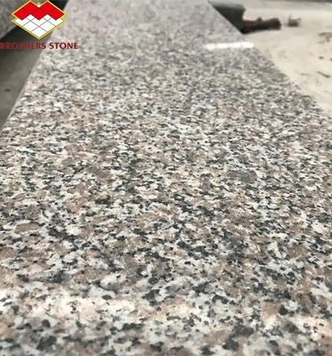 Modern G664 fournisseurs plaques de granit 60x60 Porrno Carreaux de granit pour les conceptions graphiques de parc
