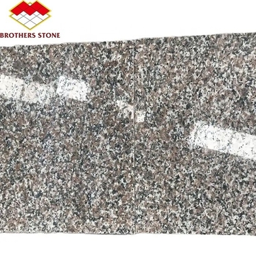 Modern G664 fournisseurs plaques de granit 60x60 Porrno Carreaux de granit pour les conceptions graphiques de parc