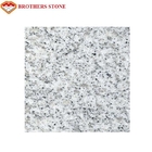 Tuiles blanches de pierre de granit de sésame de Philippines pour la décoration d'intérieur et extérieure