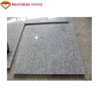 Grande dalle grise en cristal naturelle flambée de granit de la pierre G603 Bianco de granit