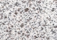 Granit G603 blanc de camélia populaire naturel pour le carrelage et les escaliers