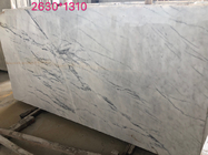 Les lignes désordonnées dalle de pierre de Hoar couvre de tuiles le marbre blanc de plancher de mur avec la veine grise