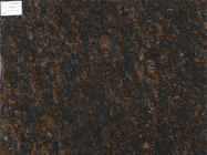 145 MPA Tan Brown Granite Stone Tiles pour des plans de travail d'étapes