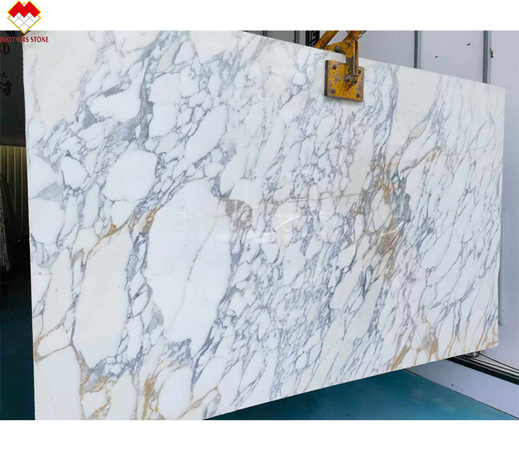Murs et revêtements de sol de design moderne Tableau en marbre blanc neigeux avec veines brunes